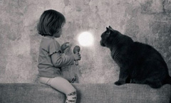 歌单分享：那些你熟悉却又不知道名字的轻音乐