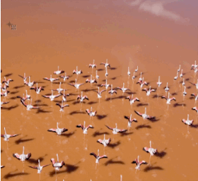 新手教程:macOS截图功能高级玩法 第1张-SoftGoing