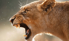 视觉冲击！超高清8K壁纸集合下载，分辨率高达7680x4320