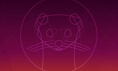 体验最流行的免费 Linux 系统「Ubuntu」20.04 LTS 正式版