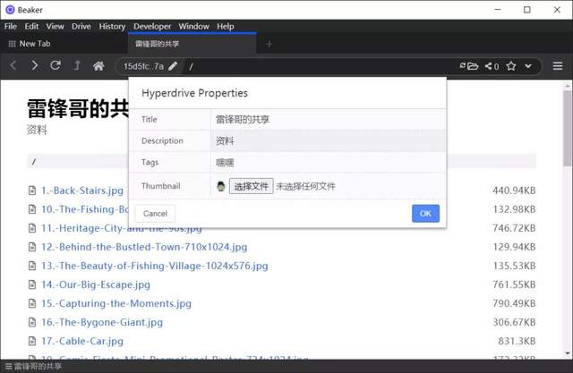 另类浏览器,把你的电脑变成文件共享服务器 第6张-SoftGoing 另类浏览器,把你的电脑变成文件共享服务器 第6张
