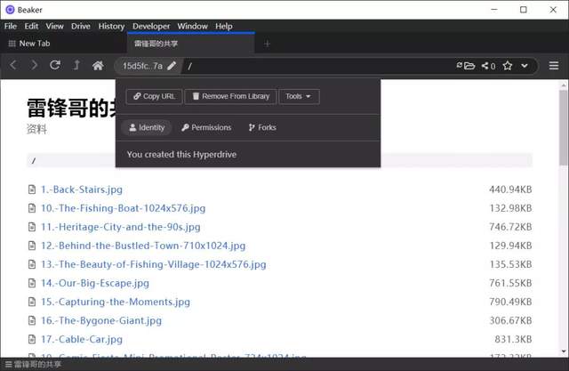另类浏览器,把你的电脑变成文件共享服务器 第5张-SoftGoing 另类浏览器,把你的电脑变成文件共享服务器 第5张
