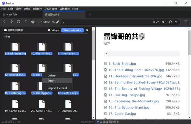 另类浏览器,把你的电脑变成文件共享服务器 第7张-SoftGoing 另类浏览器,把你的电脑变成文件共享服务器 第7张