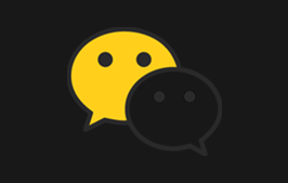 PC 电脑版 QQ、TIM、微信、防撤回补丁/多开