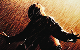 影迷发烧友神器，超棒的免费本地电影管理软件：极影派