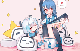 哔哩哔哩B站视频 PC 