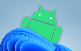 WIN11 安卓子系统 ROOT + 谷歌全家桶，支持 MAGISK 模块