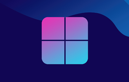 纯净、强大、易用的系统重装工具：SysRi