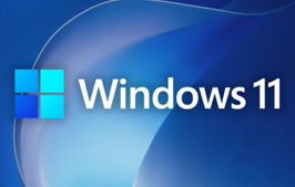 美化 Win11 / Win10 经典菜单:TranslucentFlyouts V2