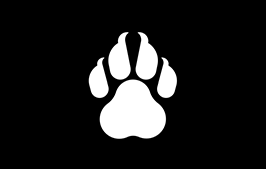 免费领取 ClawCloud 云服务部署 Alist 网盘