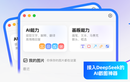 号称首款接入 DeepSeek 的 AI 截图神器：小旺截图